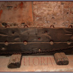 gogna-orizzontale-ceppi